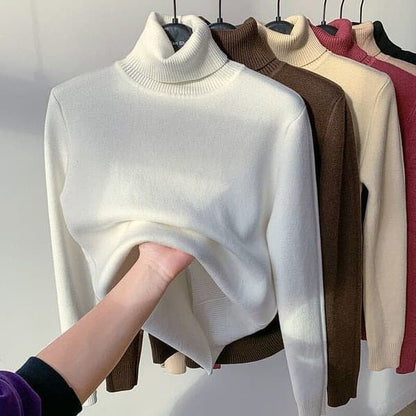 Women Turtleneck Sweater Autumn Winter Elegant Thick Warm Long