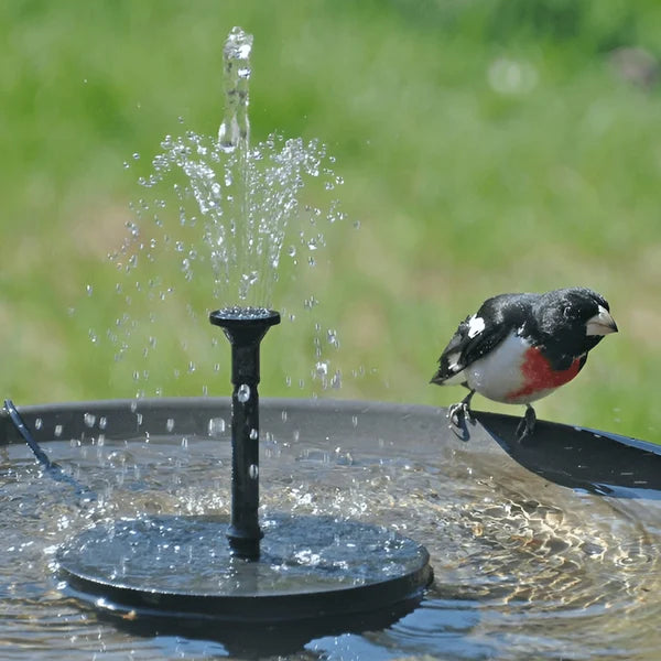 🔥56% OFF | Solar Bird Bath Fountain Pump with 4 Nozzles for Garden & Pond